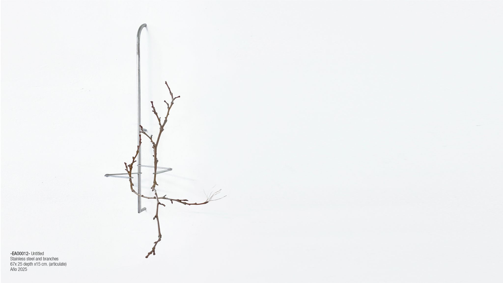 2025 DM port.para web. P9 (2)